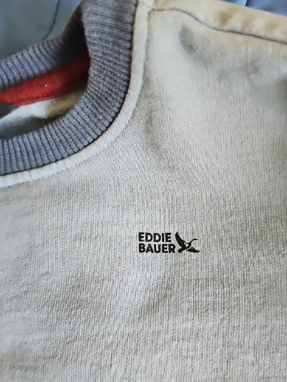 Eddie Bauer Colorblock Crewneck Sweatshirt